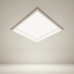 Ceiling Panel